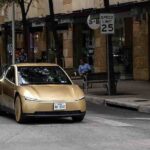 Tesla Robotaxi