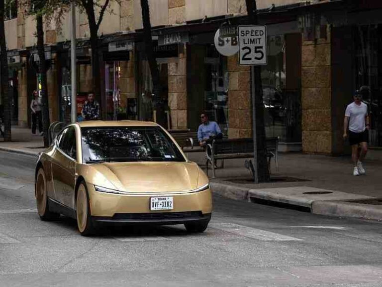 Tesla Robotaxi